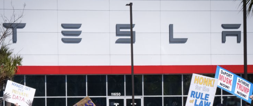 Tesla Showroom Showdown
